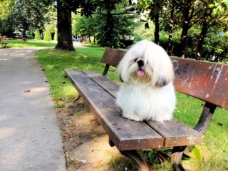 Milou gozando en el parque!!